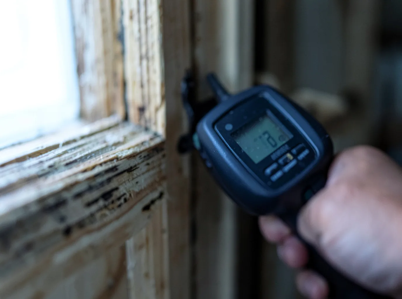 Moisture Inspection And Documentation in Garland, PA